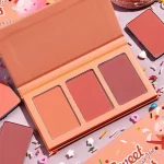 پالت رژگونه Sweet Cheeks شیگلم | Private Cabana اصل