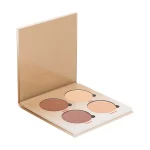 پالت هایلایتر آناستازیا مدل Sun Dipped