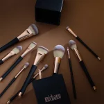 پک براش حرفه‌ای میچانو